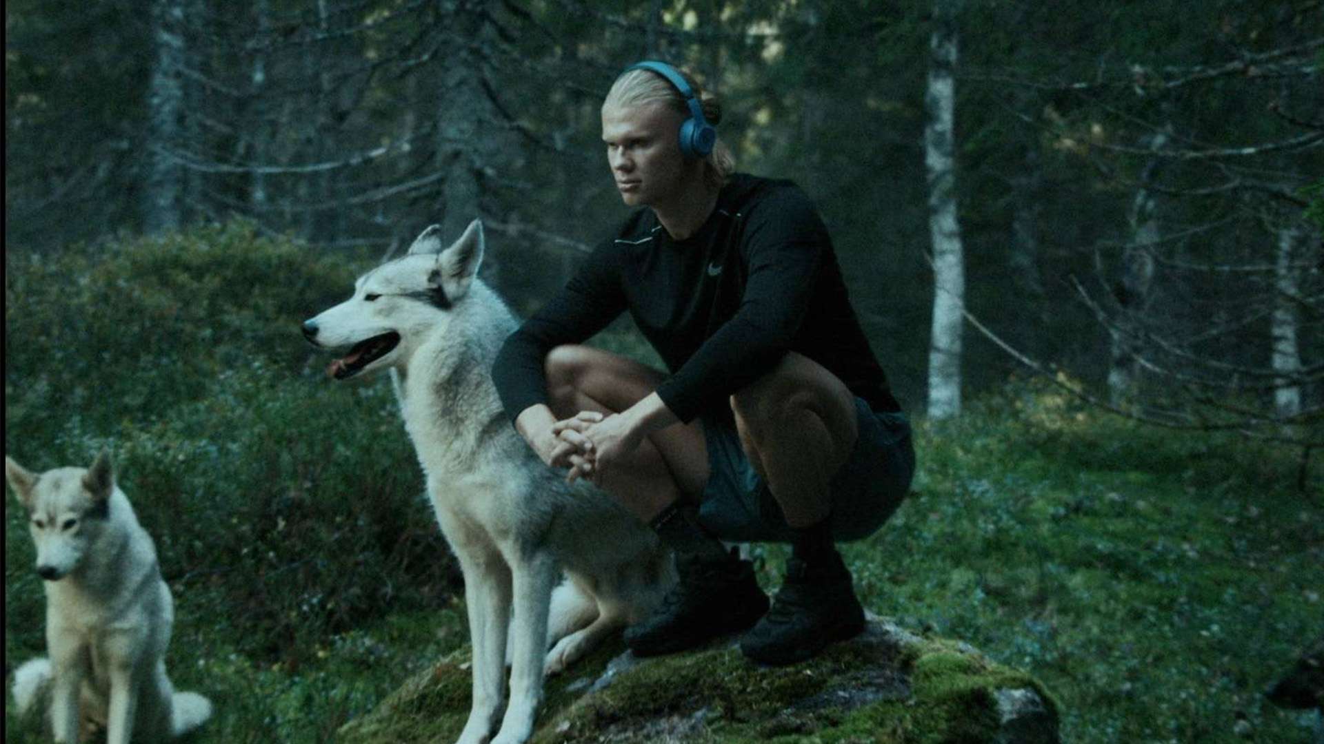 期间积累的 期间积累的